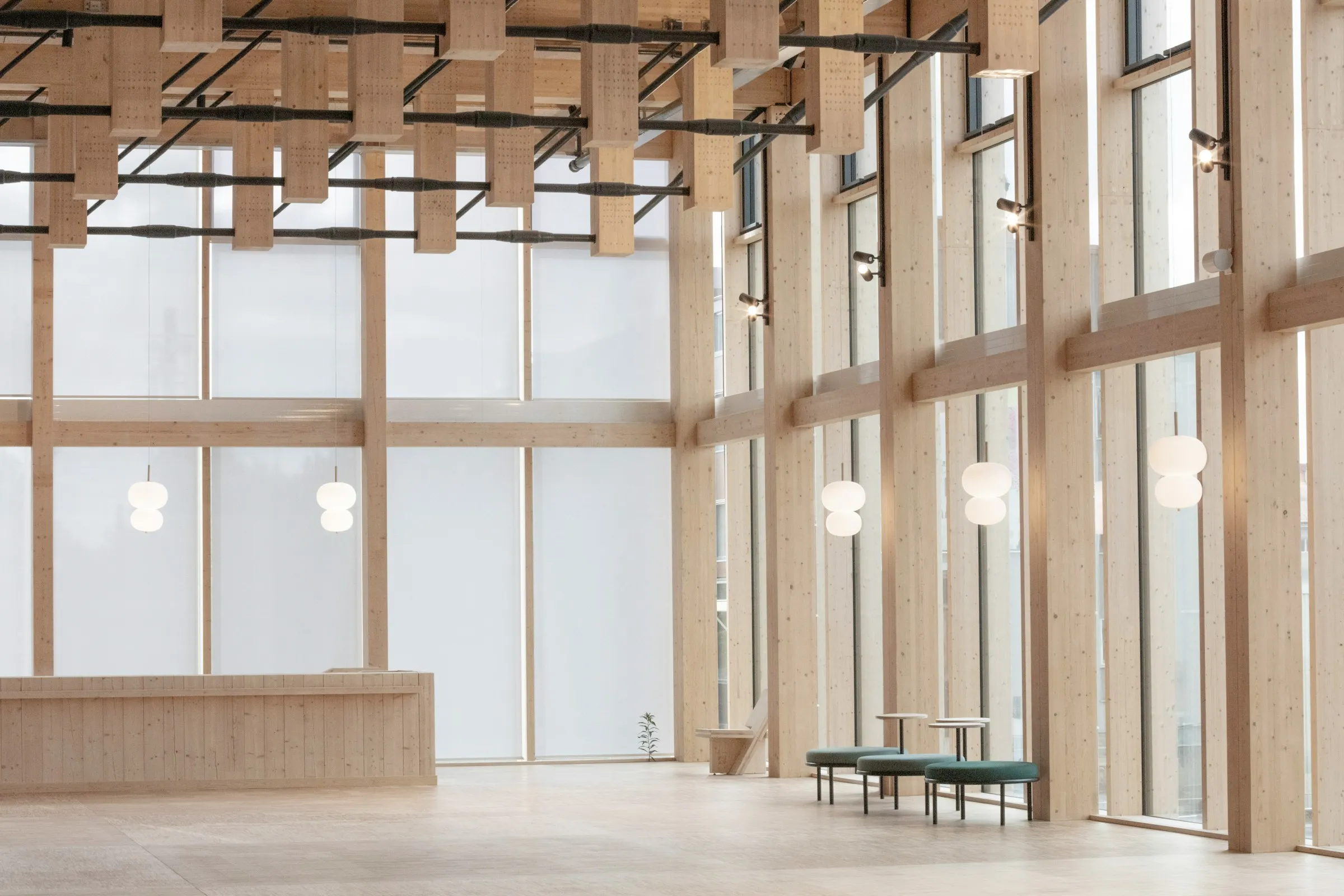 Property restoration and timber care